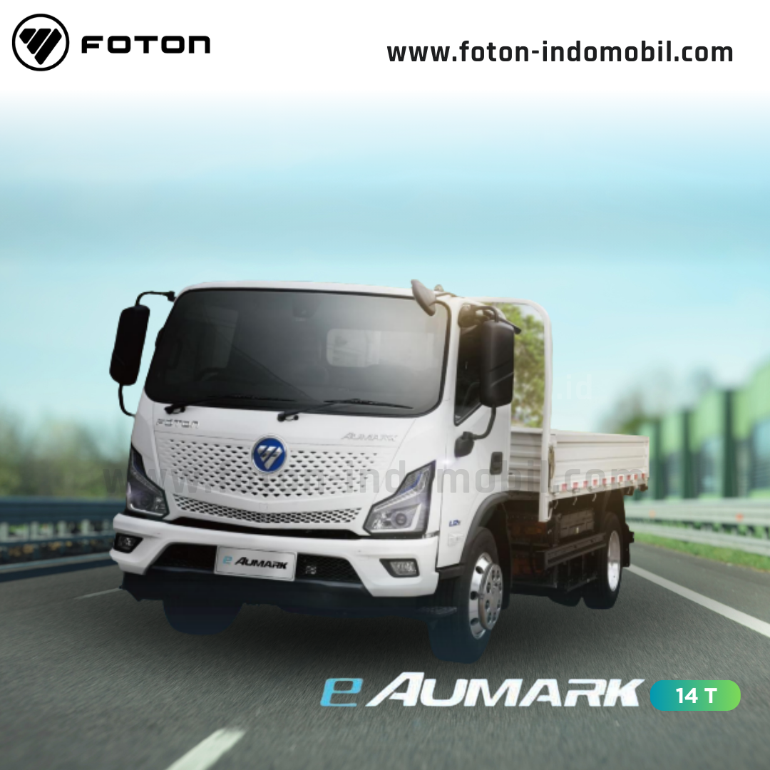 FOTON E AUMARK 14 T - Dealer Foton pasar minggu Jakarta Selatan